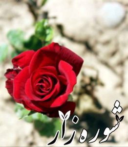 دانلود رمان شوره زار