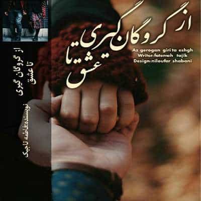 دانلود رمان از گروگانگیری تا عشق