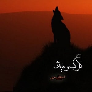 رمان گرگ و میش نویسنده استفانی میر دانلود با لینک مستقیم