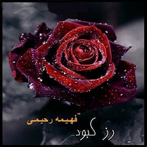 دانلود رمان رز کبود