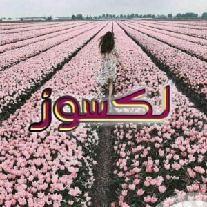 دانلود رمان لکسوز