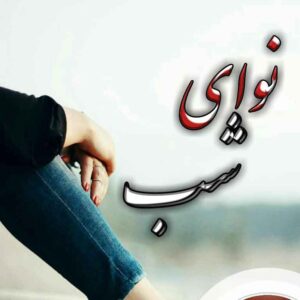 دانلود رمان نوای شب