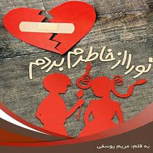 دانلود رمان تو را از خاطرم بردم