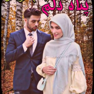 رمان پناه دل من PDF کامل
