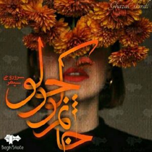 رمان خانم کوچولو pdf