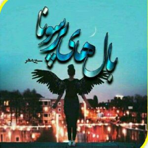 رمان بال های پرسونا pdf