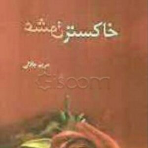 رمان خاکستر عشق pdf
