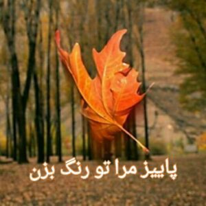 رمان پاییز مرا تو رنگ بزن pdf