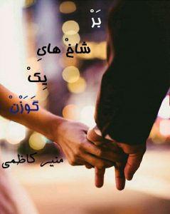 رمان بر شاخ های یک گوزن pdf