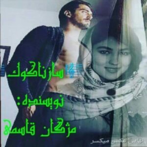 رمان ساز ناکوک pdf