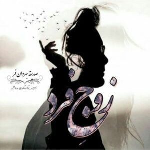 رمان زوج فرد pdf