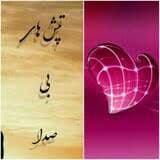 رمان تپش های بی صدا pdf