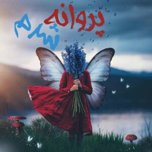 رمان پروانه شدم pdf رمان پروانه شدم pdf