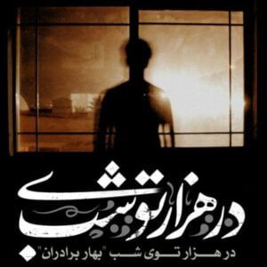 رمان در هزار توی شب pdf