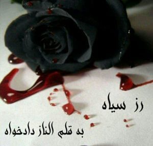 رمان رز سیاه pdf