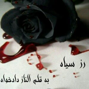 رمان رز سیاه pdf