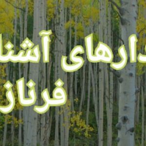 رمان سپیدار های اشنا pdf
