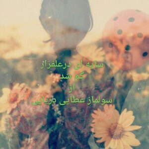 رمان سایه ای در علفزار گم شد pdf