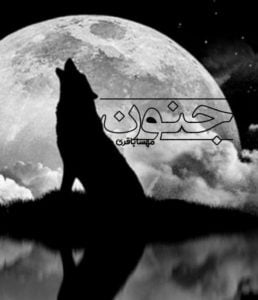 رمان جنون pdf