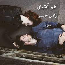 رمان هم اشیان pdf