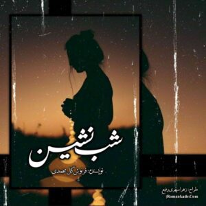 رمان شب نشین pdf