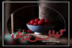 رمان گیلاس ترش pdf