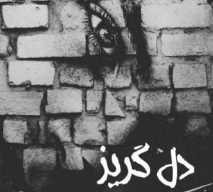 رمان دل گریز pdf
