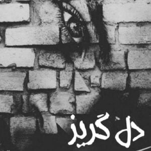 رمان دل گریز pdf