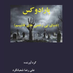 رمان فلسفی پارادوکس