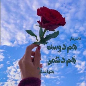رمان هم دوست هم دشمن PDF رمان هم دوست هم دشمن PDF