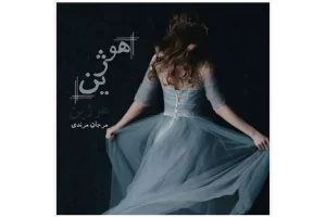 رمان هوژین PDF