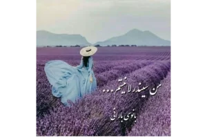 رمان من سیندرلا نیستم pdf