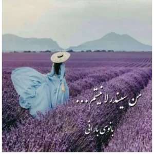 رمان من سیندرلا نیستم pdf