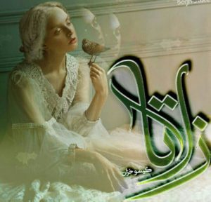 رمان زلاتا pdf