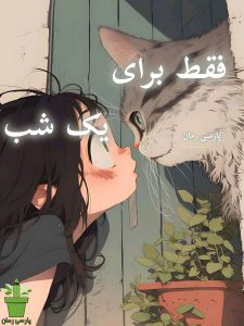 دانلود رمان فقط برای یک شب pdf |اثر بی پروای قصه گو